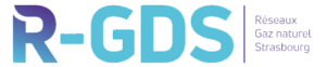 RGDS distributeur gaz RGD-S