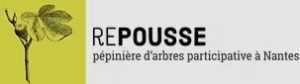 REPOUSSE